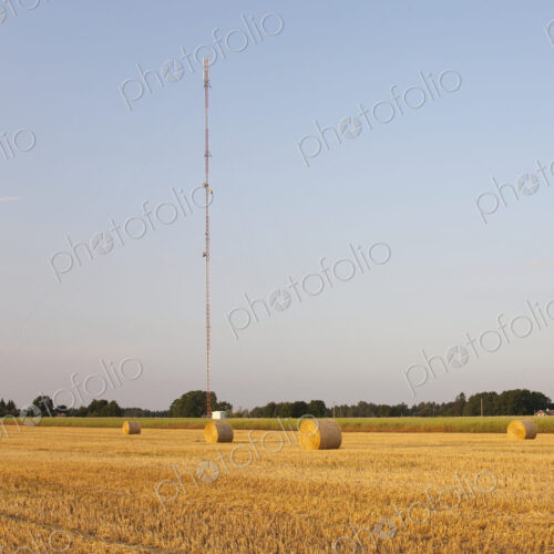 Bales of Hay in Field Bales of Hay in Field