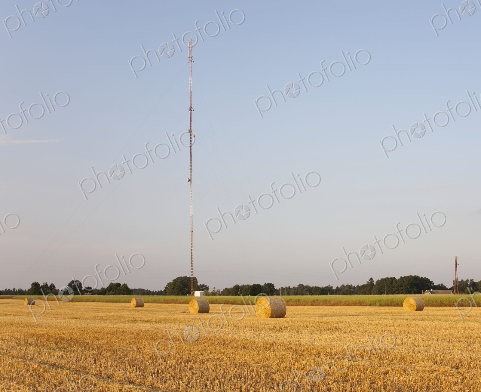 Bales of Hay in Field