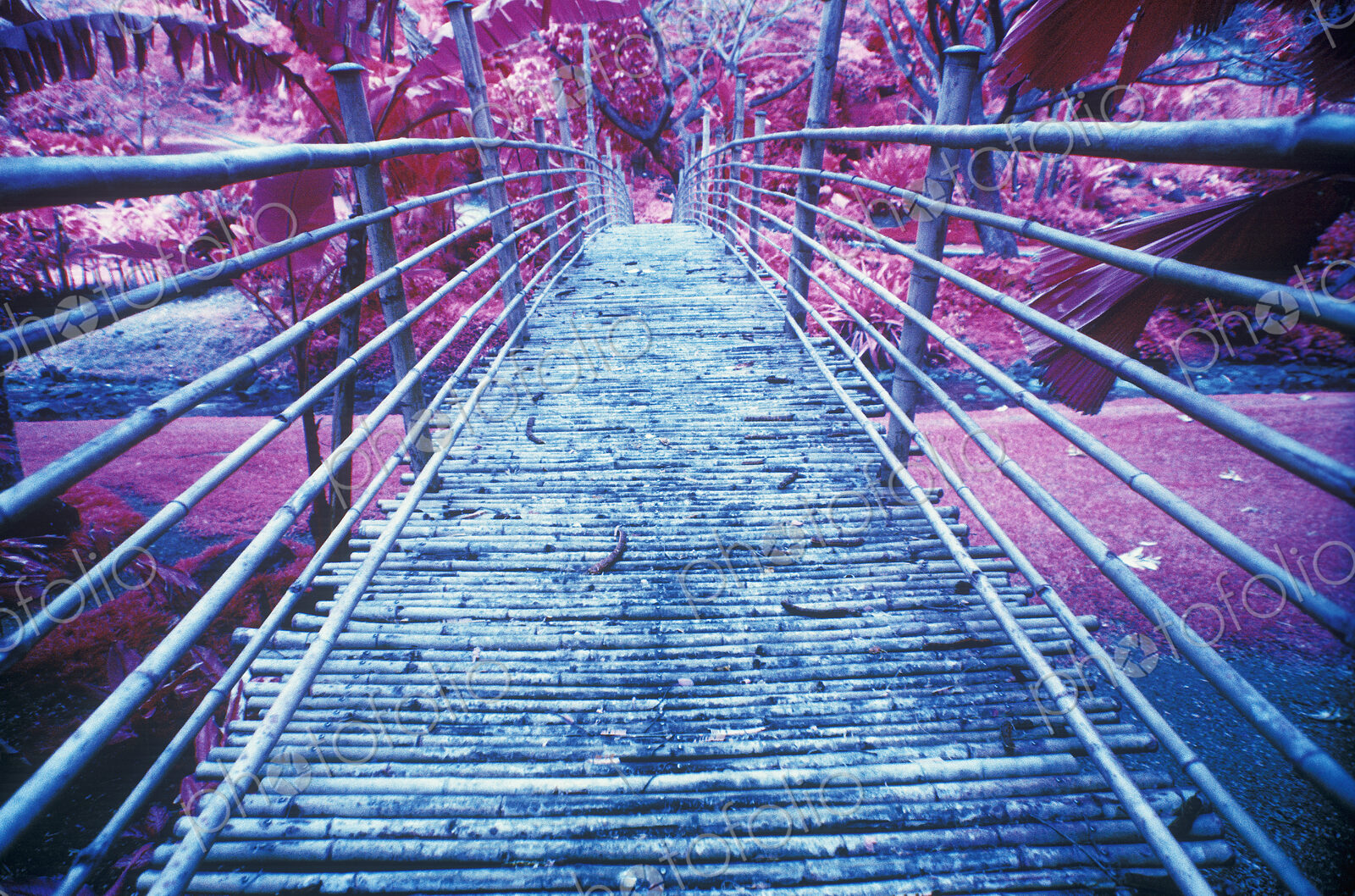 Bamboo Foot Bridge