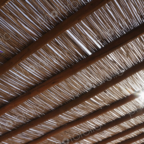 Bamboo Shade Roof, low angle view