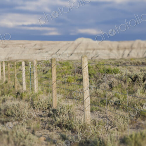 Barbed Wire Fence Barbed Wire Fence