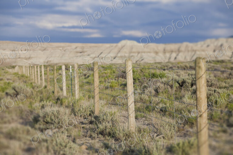 Barbed Wire Fence
