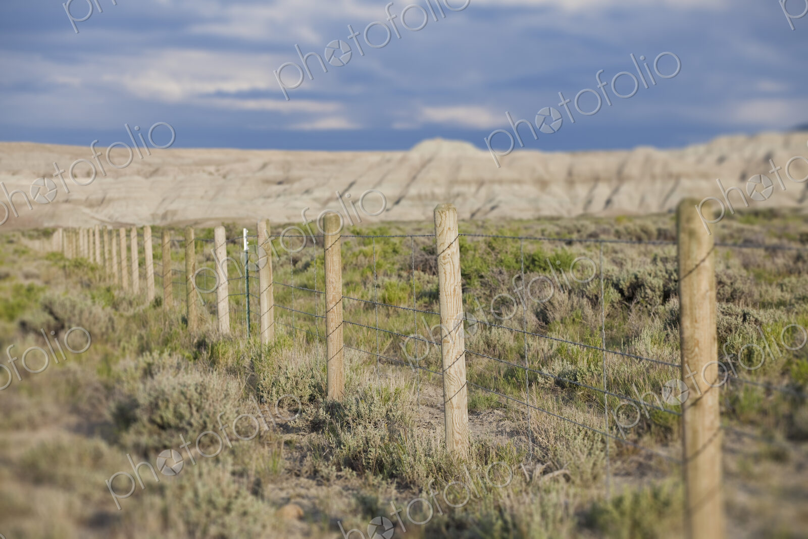 Barbed Wire Fence