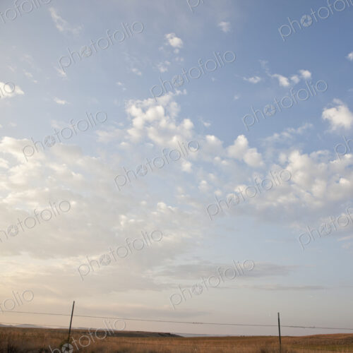 Barbed Wire Fence with Grassland Landscape Barbed Wire Fence with Grassland Landscape