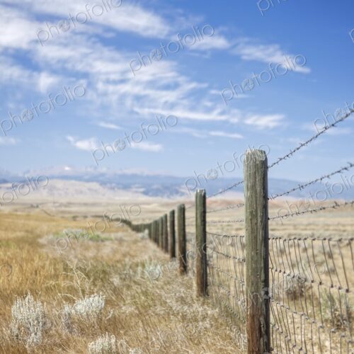 Barbed wire fence stretching across open prairie grassland near Buffalo, Wyoming, with… Barbed wire fence stretching across open prairie grassland near Buffalo, Wyoming, with…