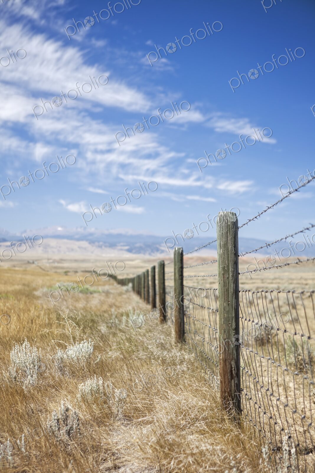 Barbed wire fence stretching across open prairie grassland near Buffalo, Wyoming, with…
