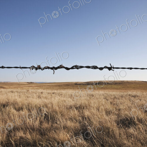 Barbed wire strand in rural landscape. Barbed wire strand in rural landscape.