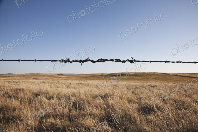 Barbed wire strand in rural landscape.