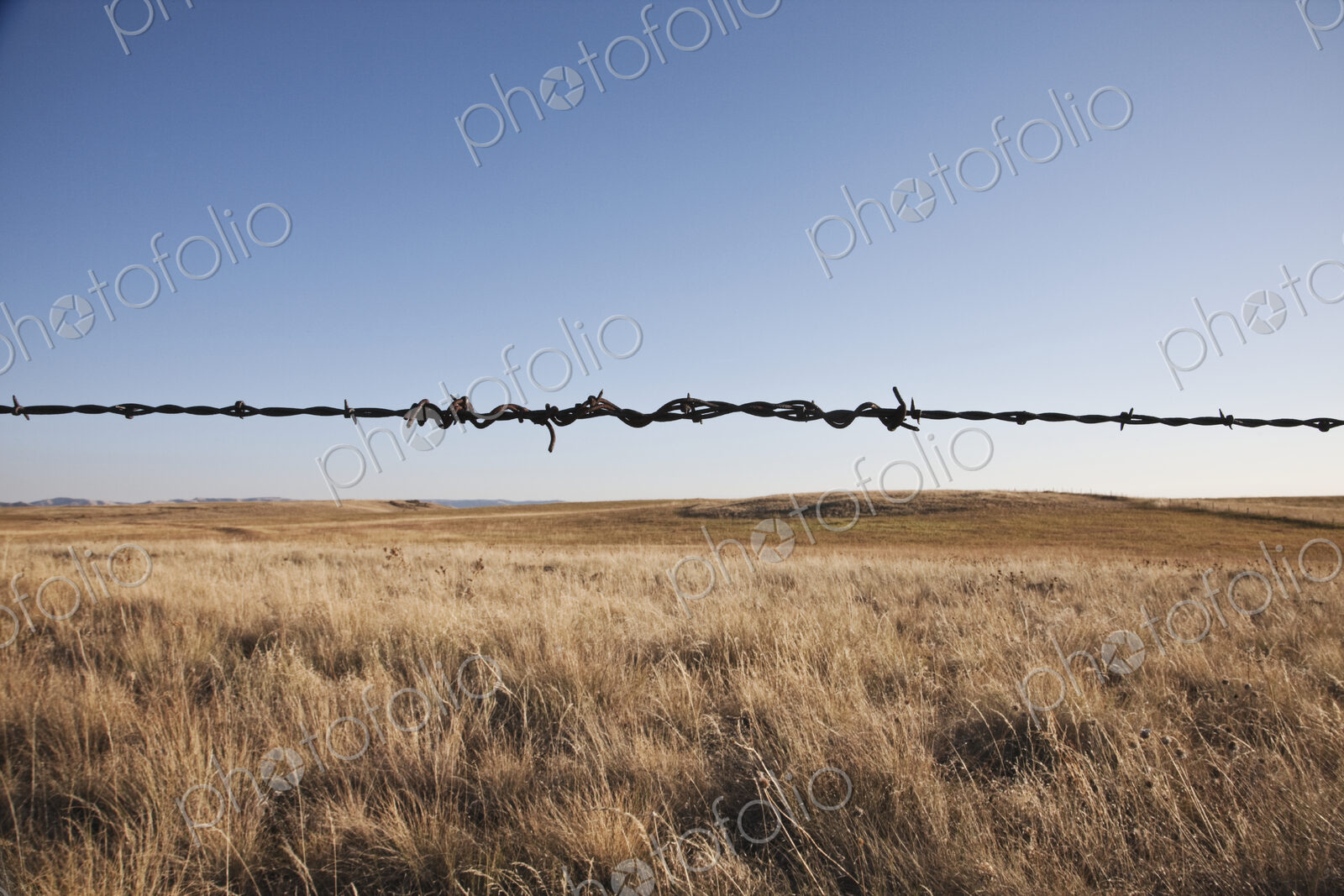 Barbed wire strand in rural landscape.