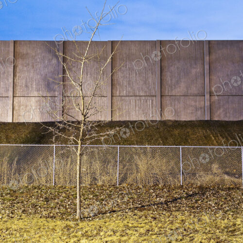 Bare Tree in Front of a Barrier Bare Tree in Front of a Barrier
