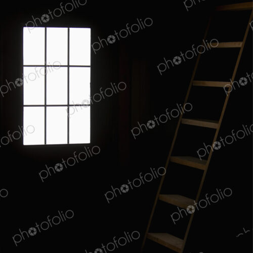 Barn Doorway and Loft Ladder
