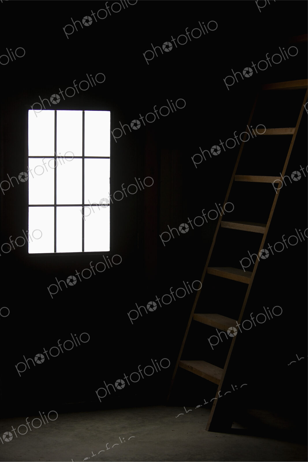 Barn Doorway and Loft Ladder