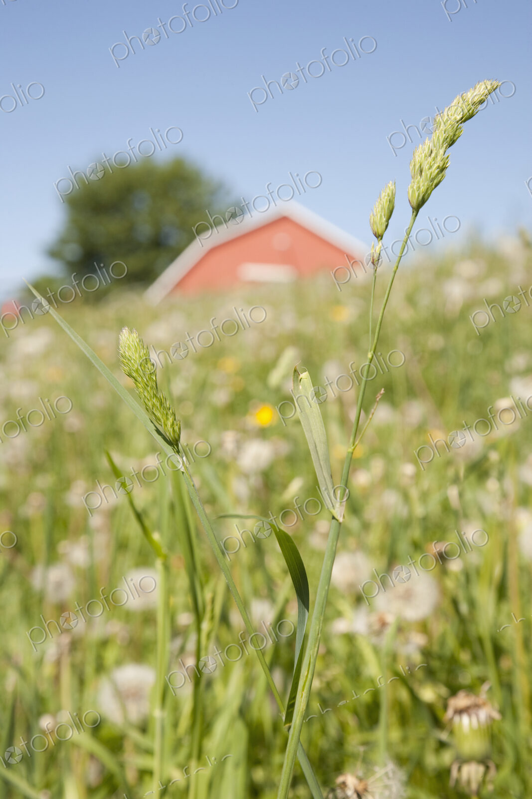 Barn On a Grass Slope