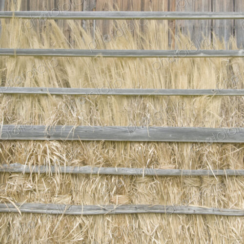 Barn and Hay