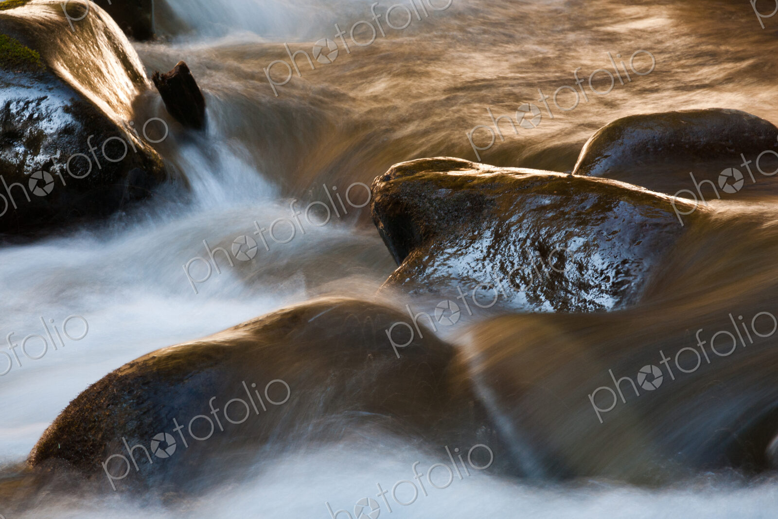 Barnes Creek, Olympic National Park, Washington, USA