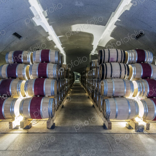 Barrels of wine aging in wine cellar