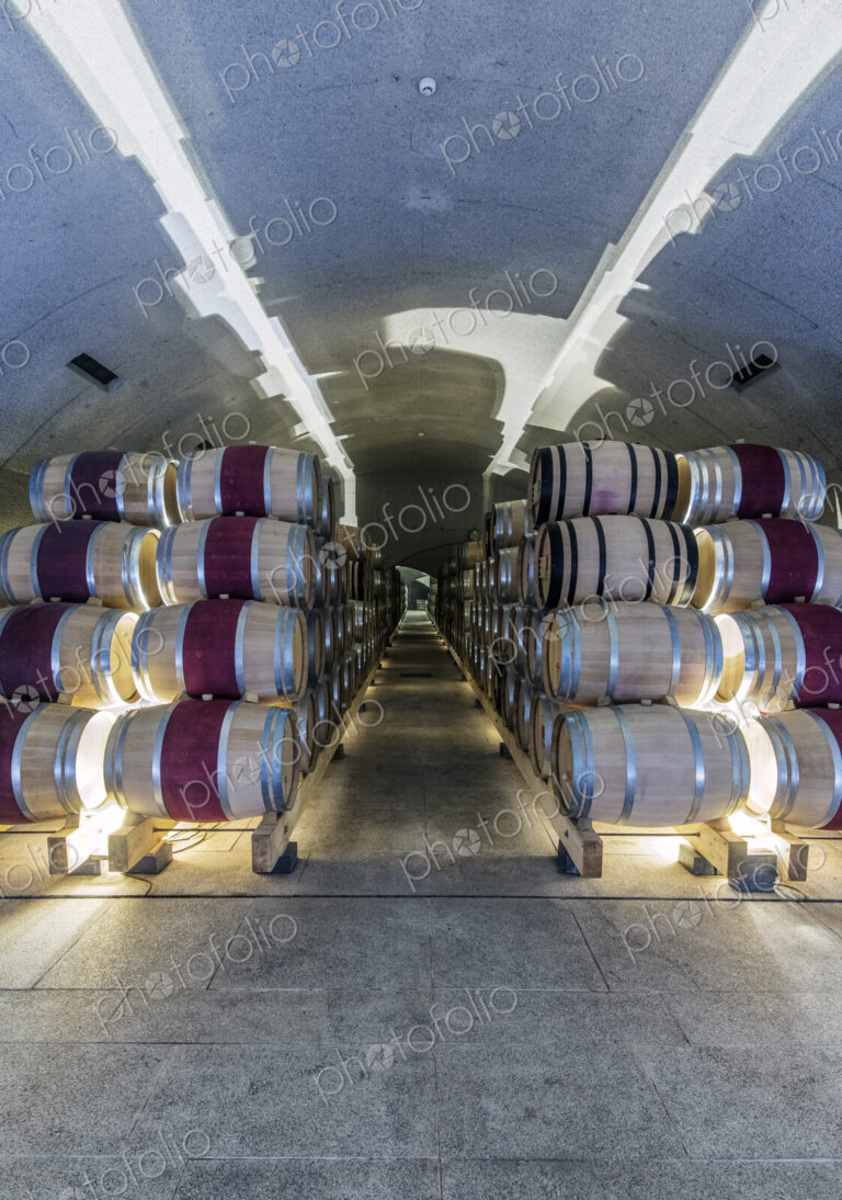 Barrels of wine aging in wine cellar