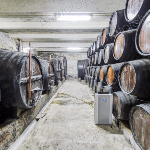 Barrels of wine aging in wine cellar