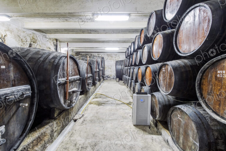 Barrels of wine aging in wine cellar
