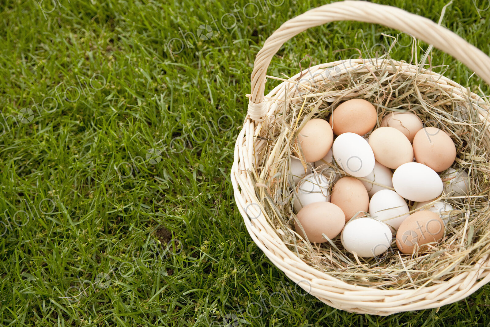Basket of Eggs in the Grass