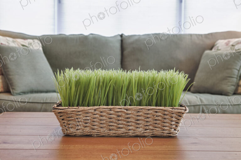 Basket with plants, grasses on a coffee table.