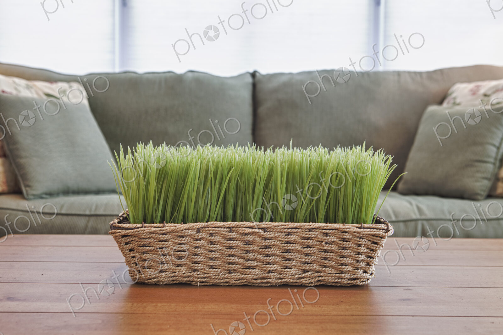 Basket with plants, grasses on a coffee table.