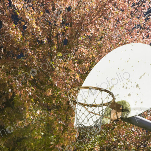 Basketball Hoop