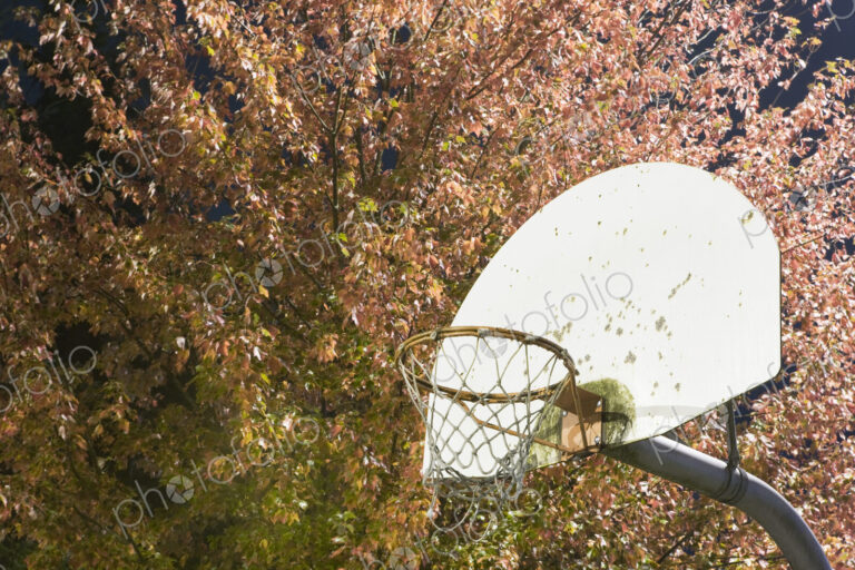Basketball Hoop