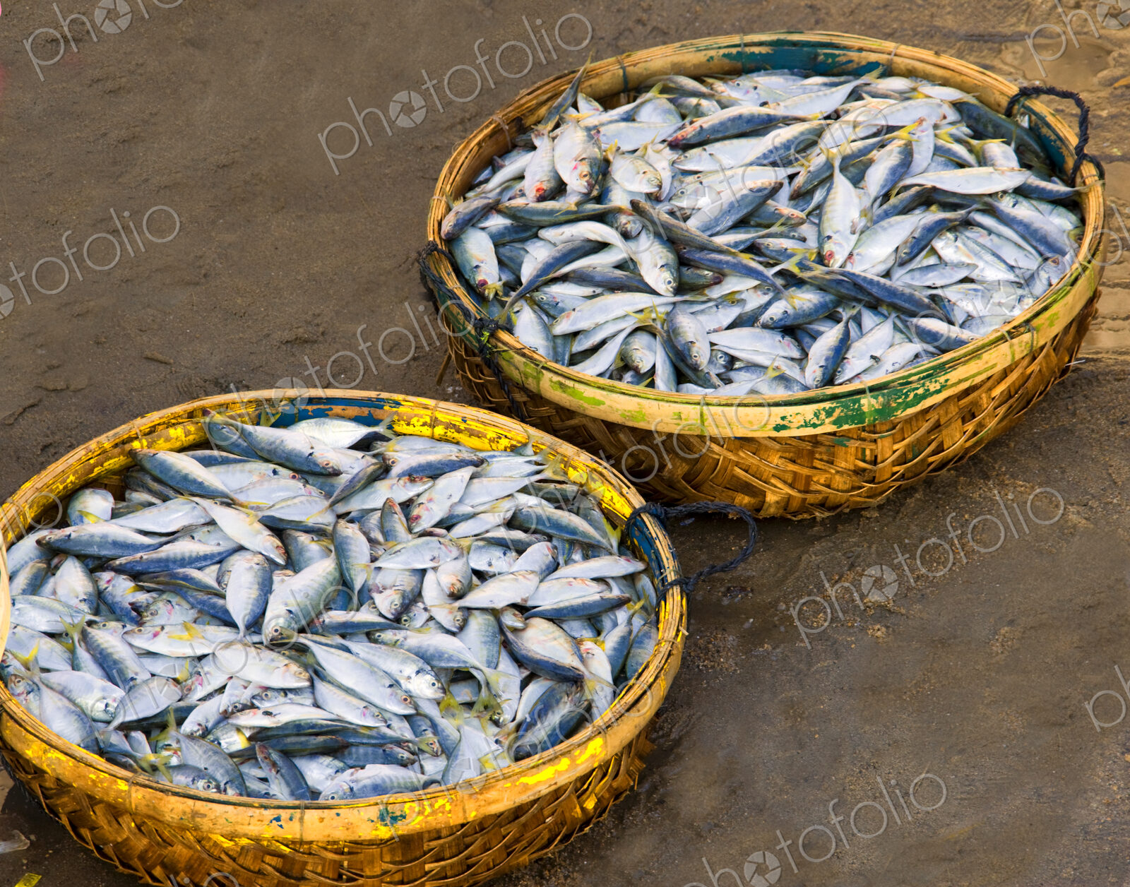 Baskets of Fish