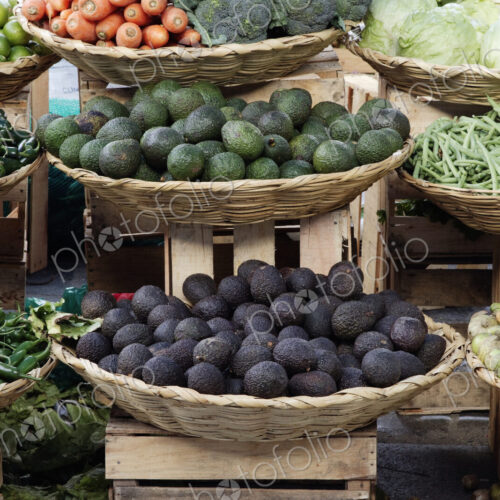 Baskets of Fruits & Vegetables Baskets of Fruits & Vegetables
