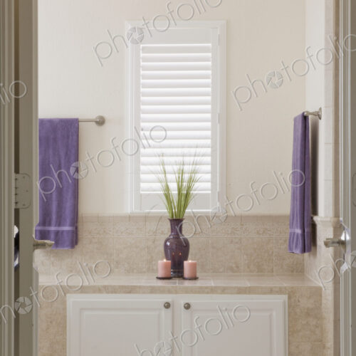 Bathroom Counter Bathroom Counter