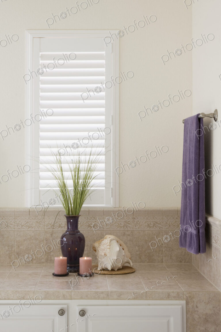 Bathroom Counter