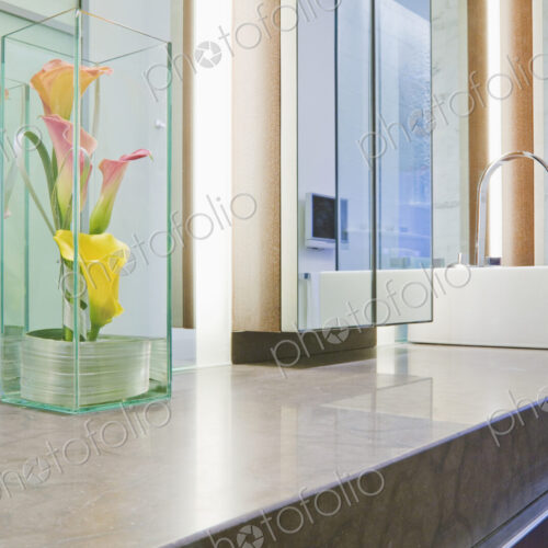 Bathroom Counter and Sink Bathroom Counter and Sink