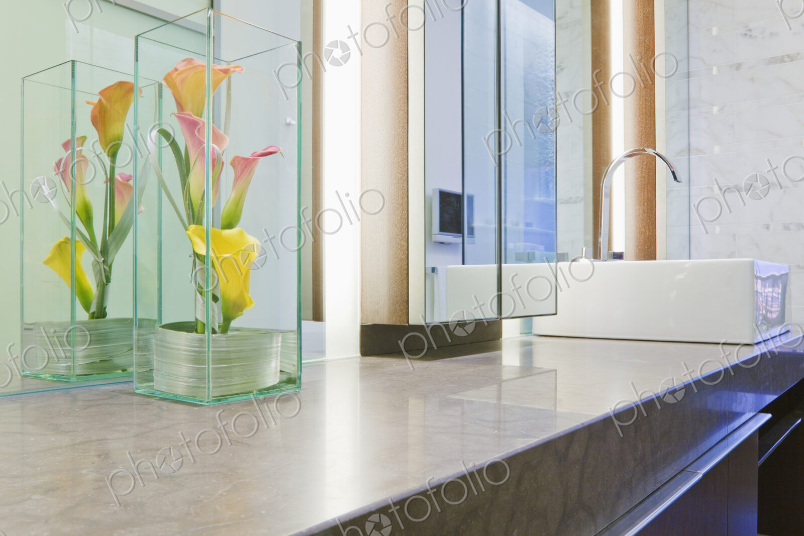Bathroom Counter and Sink