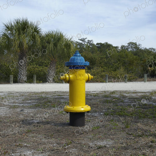 Beach Fire Hydrant