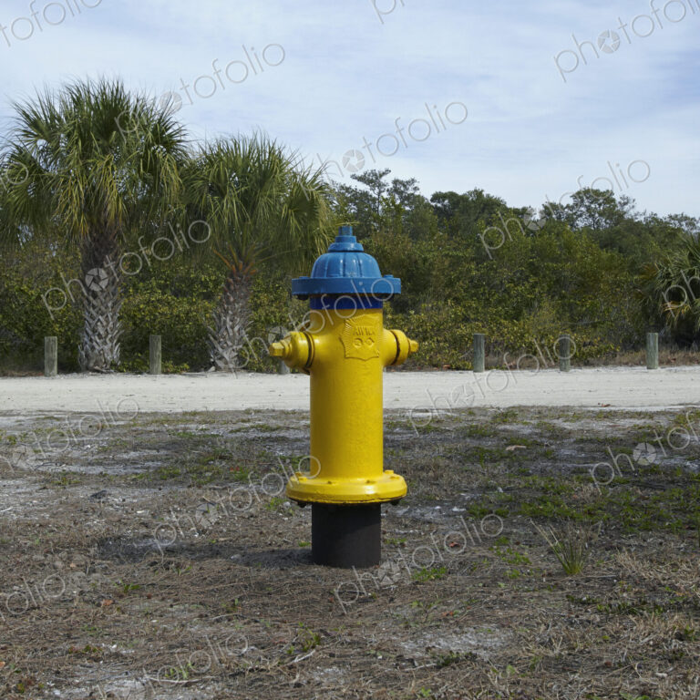 Beach Fire Hydrant