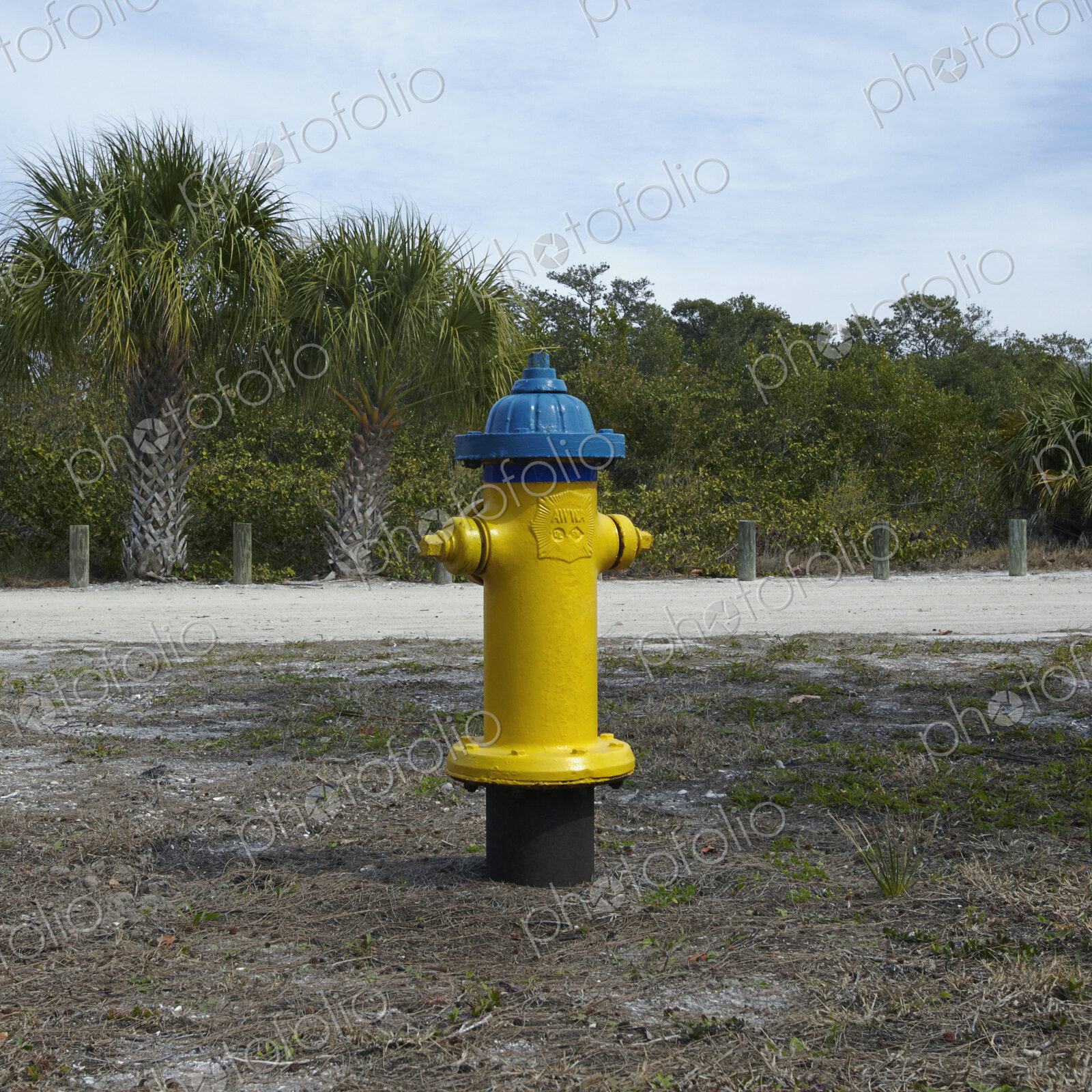 Beach Fire Hydrant