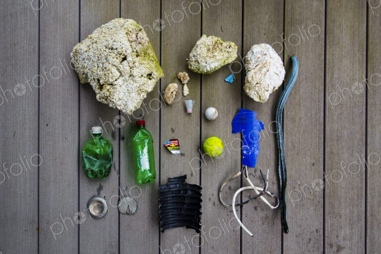 Beach debris, trash, a still life display on a board, jetsam.