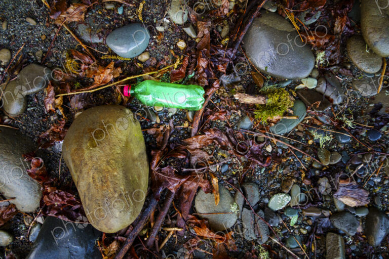 Beach debris (trash) on beach, Freshwater Bay beach, Port Angele