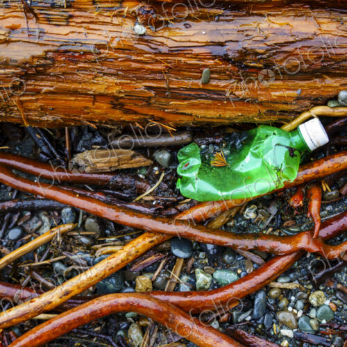 Beach debris (trash) on beach, Freshwater Bay beach, Port Angeles, WA USA