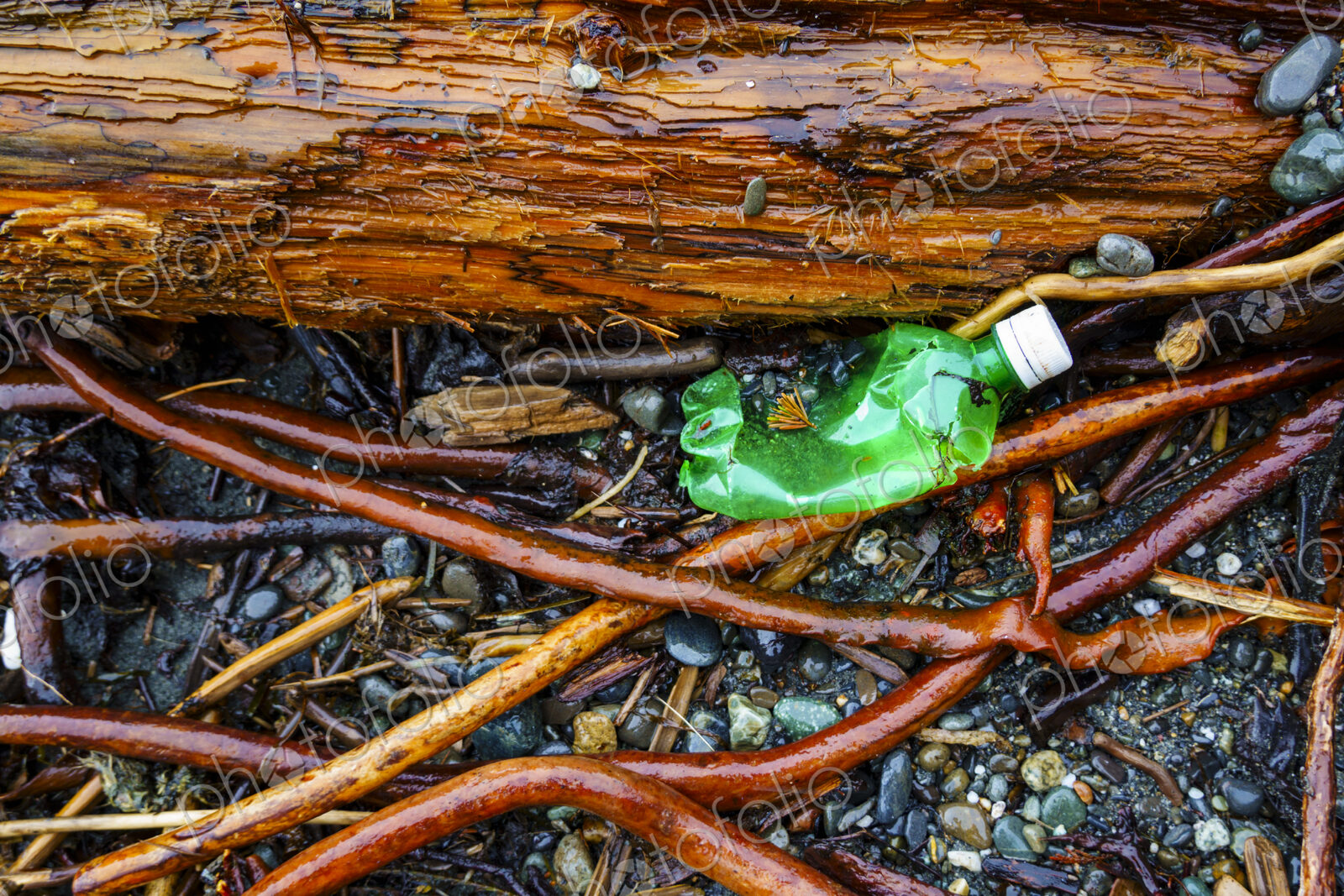 Beach debris (trash) on beach, Freshwater Bay beach, Port Angeles, WA USA