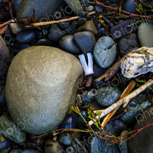 Beach debris (trash) on beach, Freshwater Bay beach, Port Angeles, WA USA