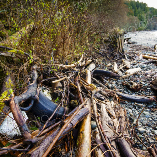 Beach debris (trash) on beach, Freshwater Bay beach, Port Angeles, WA USA