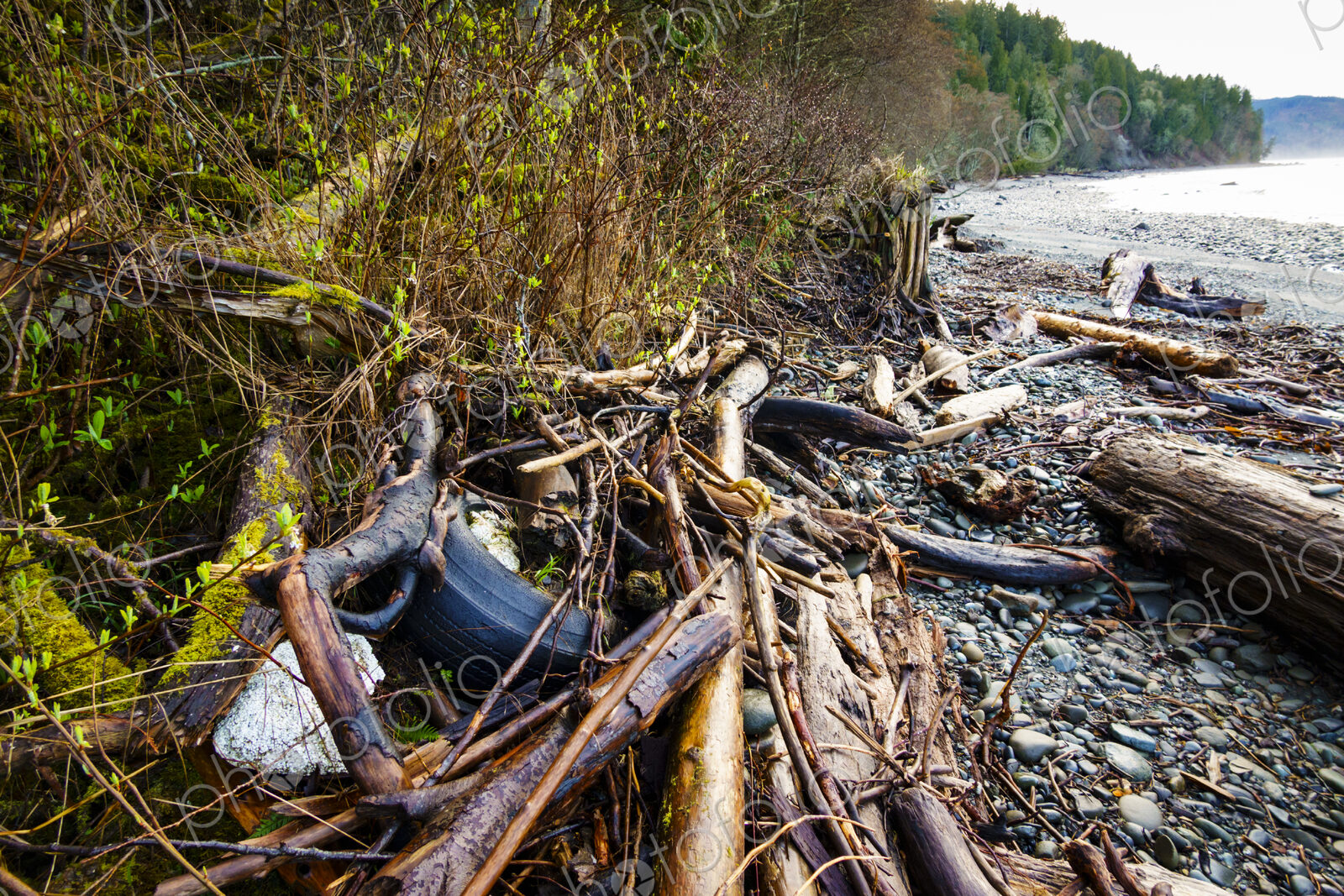 Beach debris (trash) on beach, Freshwater Bay beach, Port Angeles, WA USA