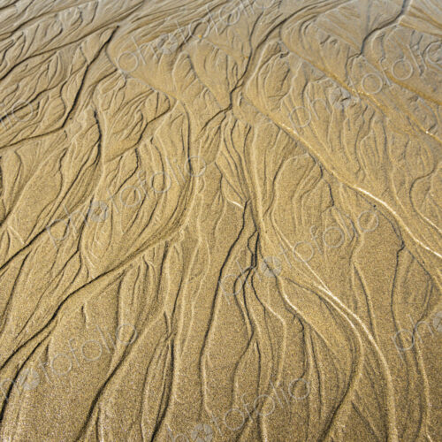 Beach sand pattern, Port Angeles, WA USA Beach sand pattern, Port Angeles, WA USA