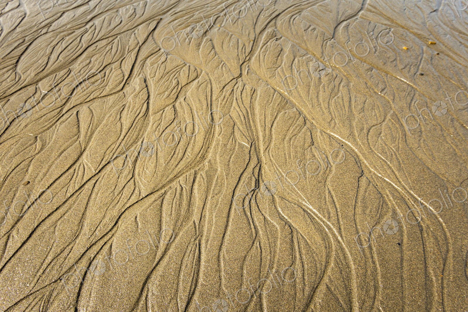 Beach sand pattern, Port Angeles, WA USA