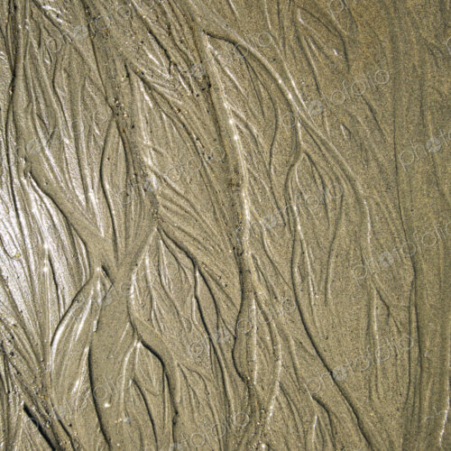 Beach sand pattern, Port Angeles, WA USA Beach sand pattern, Port Angeles, WA USA