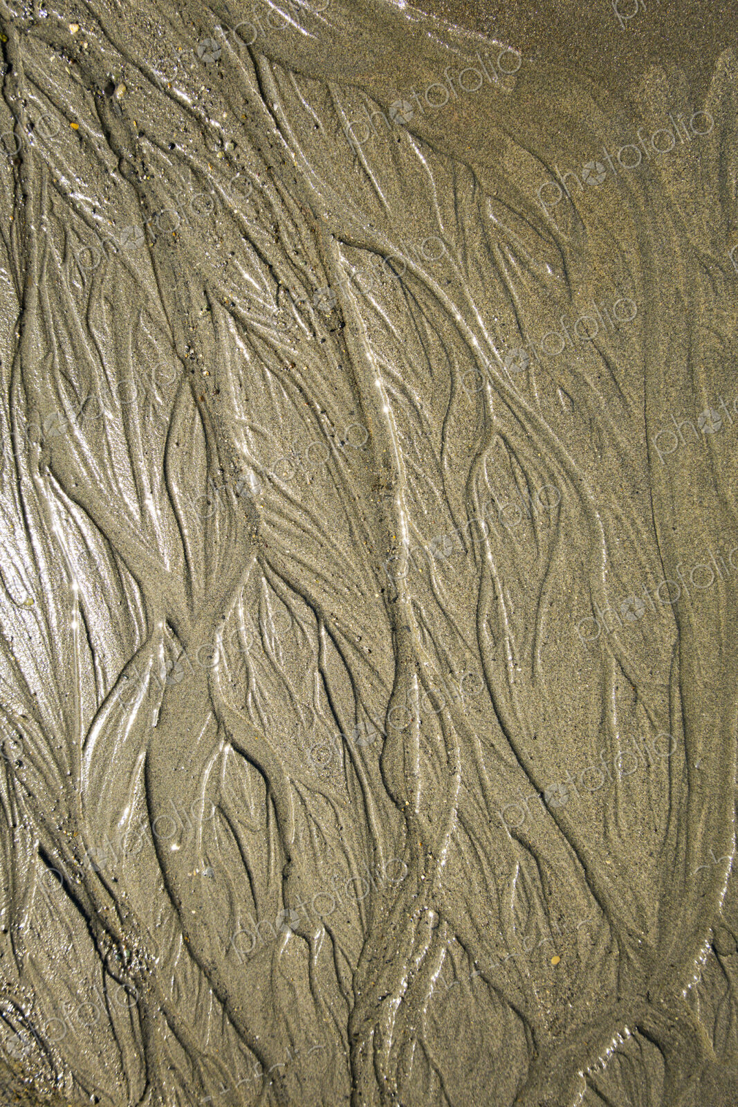Beach sand pattern, Port Angeles, WA USA