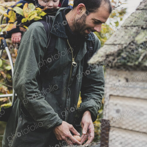 Bearded man carrying young boy on his back picking fresh eggs from chicken coop on a farm. Bearded man carrying young boy on his back picking fresh eggs from chicken coop on a farm.