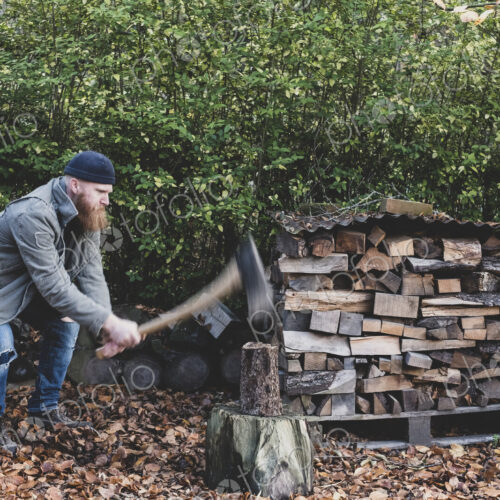 Bearded man wearing black beanie and parka standing in garden in autumn, using axe to…
